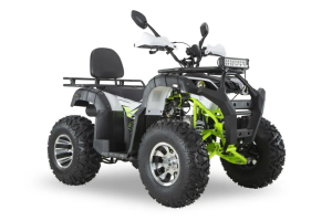 Квадроцикл ATV R-moto Lion 200LD